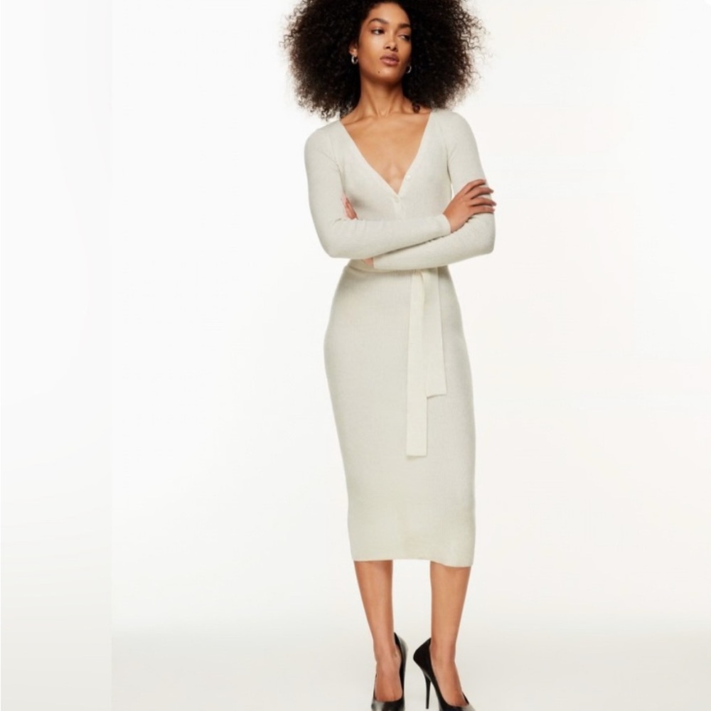 Aritzia Babaton Sweater Dress